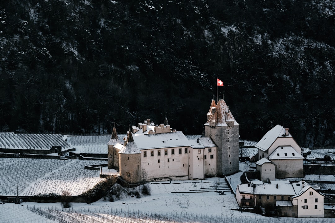 Schloss Aigle inmitten der Weinberge